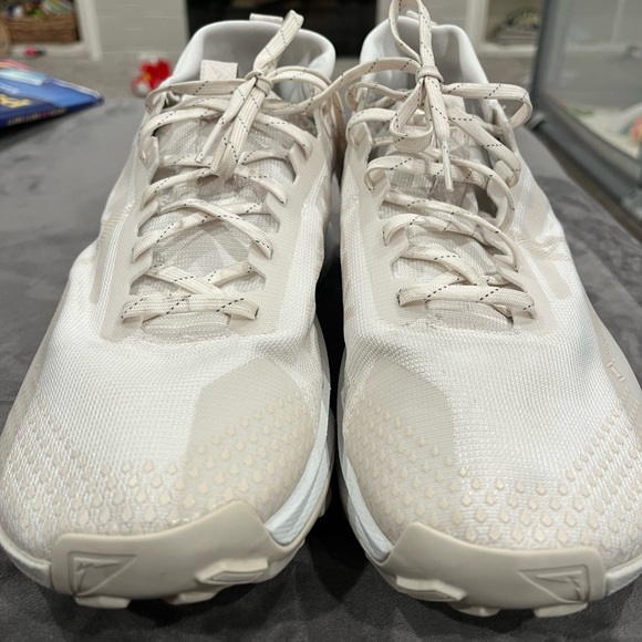 11.5 Nike Pegasus gore-Tex - Picture 5 of 10